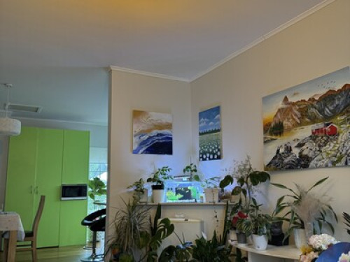 Hospitable couple in Hamilton City - Gallery - 22