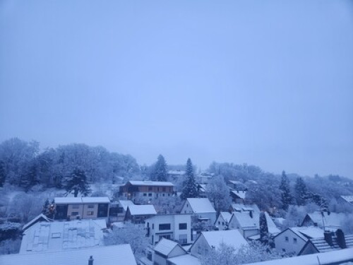 [JP/EN/DE] 30yrs Exp. Host near MUC