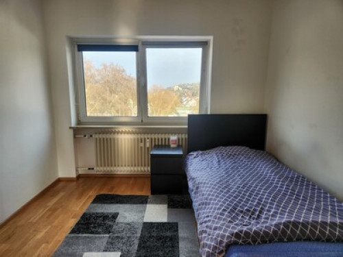 [JP/EN/DE] 30yrs Exp. Host near MUC