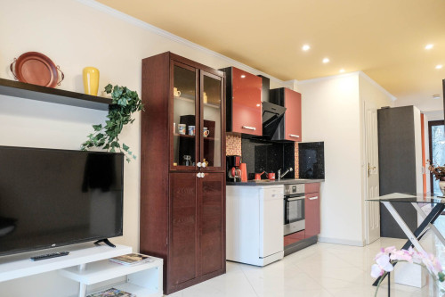 Wonderful suite located in Bonn