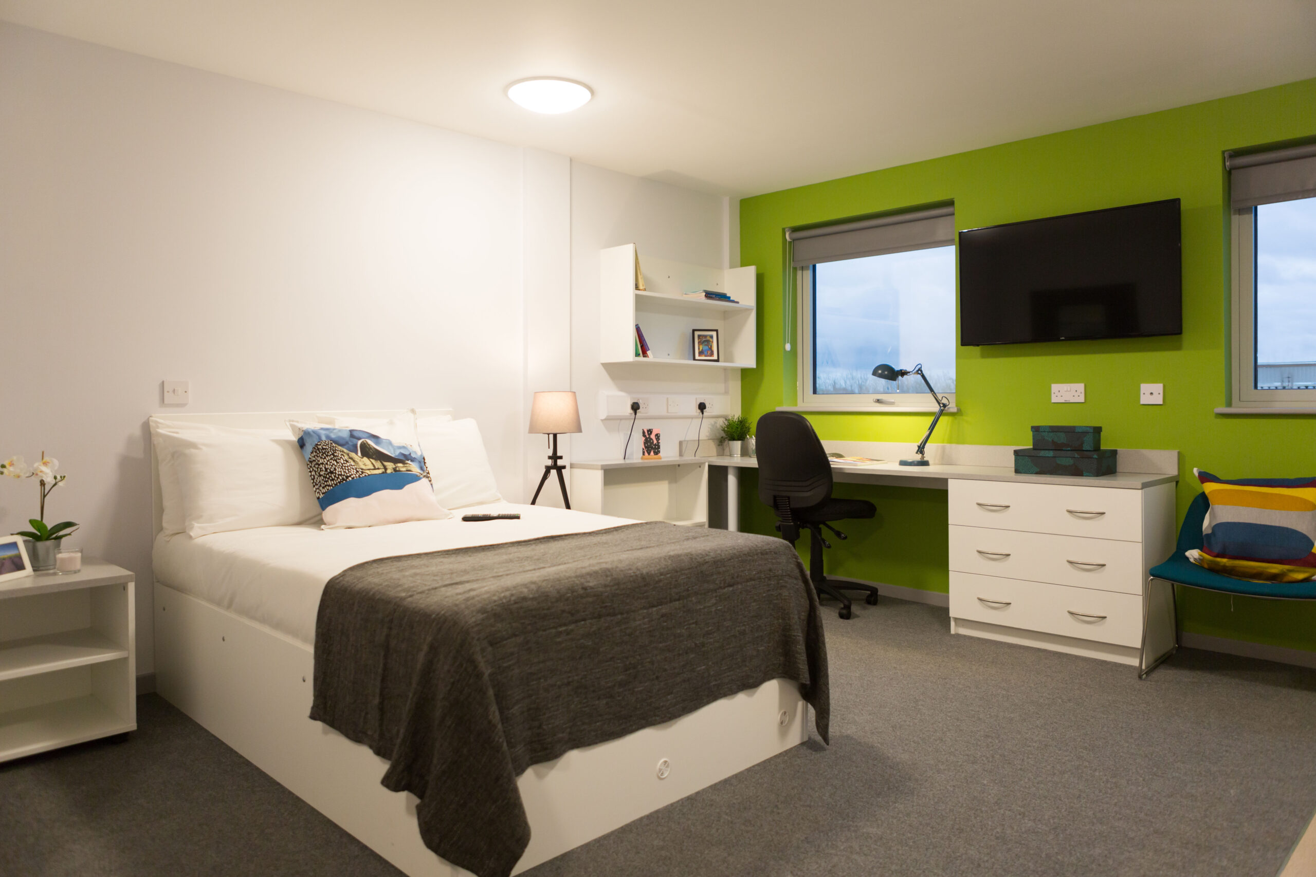  Premium Studio  -  Rosedale Court  - Gallery -  2