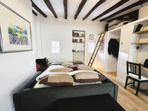 Charming studio in 5e - Pantheon - Latin Quarter