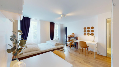 Attractive double ensuite bedroom with kitchenette, in Fontainebleau