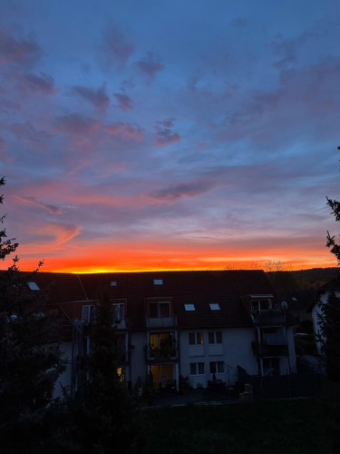 Furnished 2-Room Apartment – All Inclusive