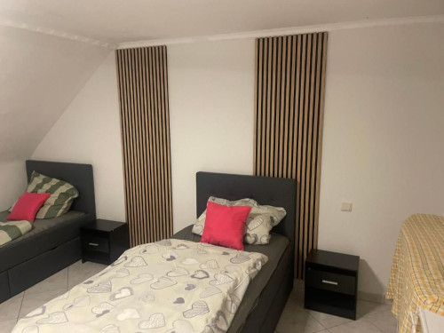 Modern 4-room flat with Wi-Fi, air conditioning and parking – perfect for technicians and business travellers in Ludwigshafen