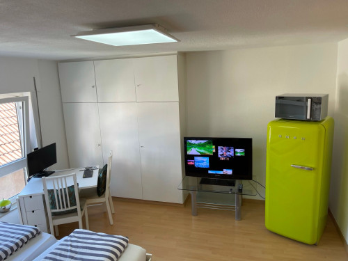 Spacious and fantastic home located in Tübingen