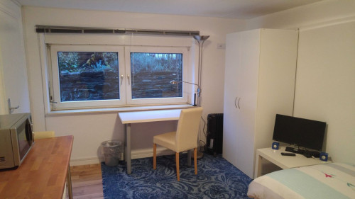 Fashionable & nice flat in Neustadt (Bremen)  - Gallery -  2