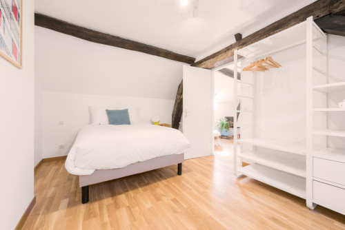 Charming double bedroom, in Fontainebleau