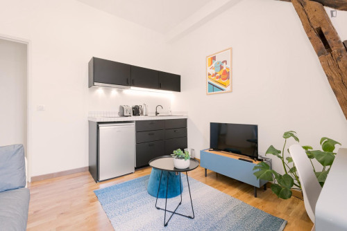 Inviting double ensuite bedroom with a kitchenette, in Fontainebleau