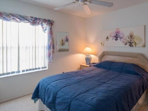 Home  - Gallery - 8