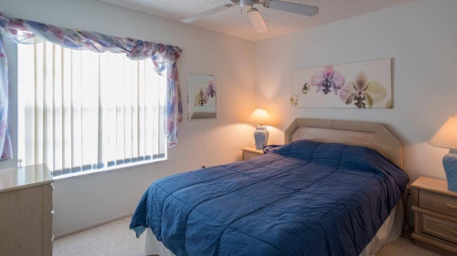 Home  - Gallery - 12