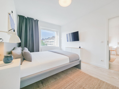 Newly renovated Designer Apartment in great location