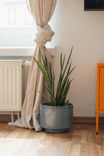FeWo Fritz am Bauhausmuseum - Gallery - 4