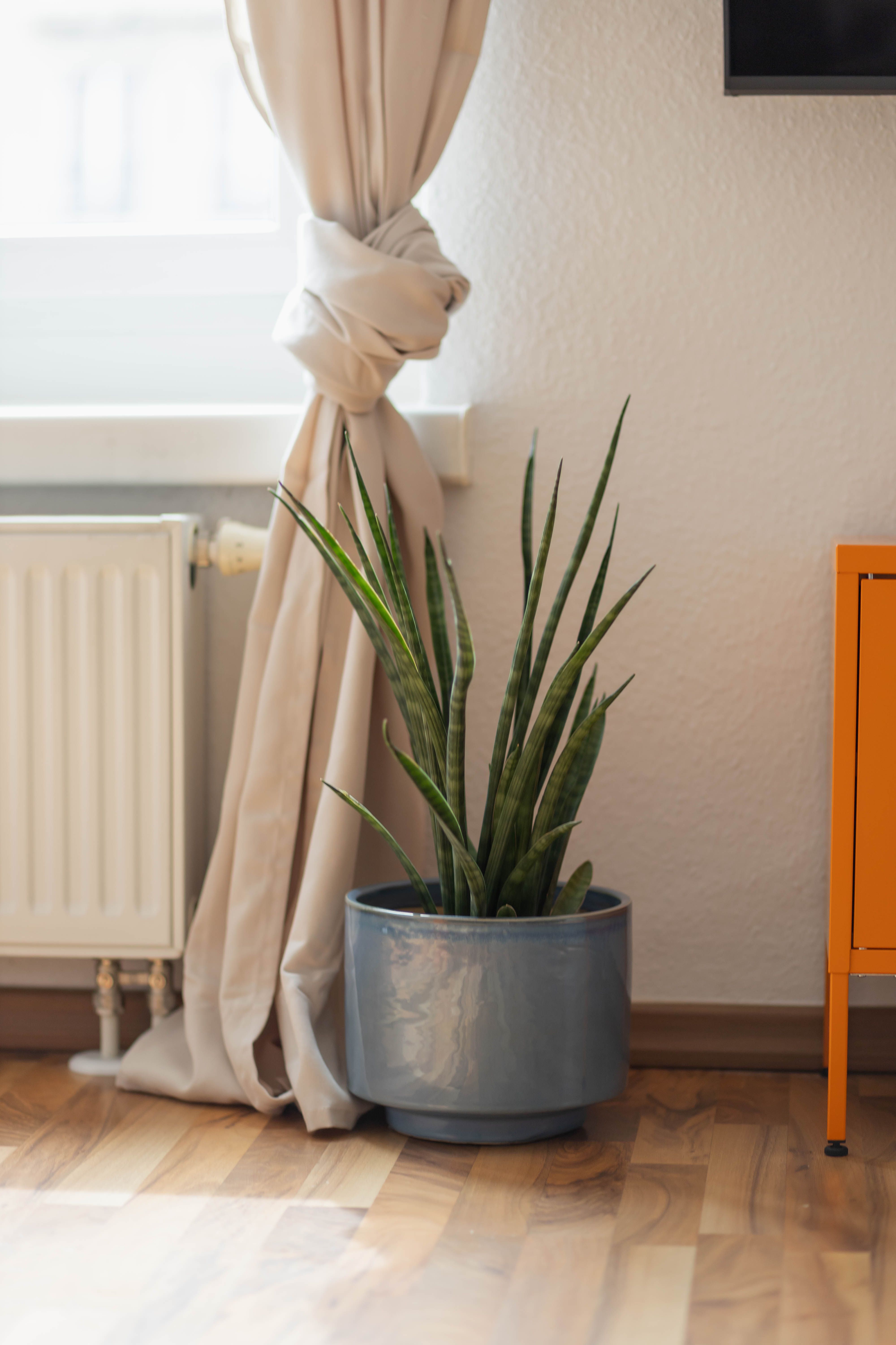 FeWo Fritz Am Bauhausmuseum - 3