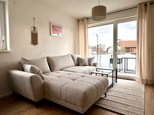 Amazing & charming loft located in Kehl