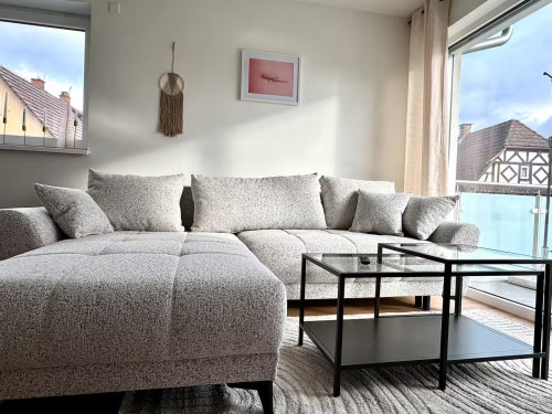 Amazing & charming loft located in Kehl