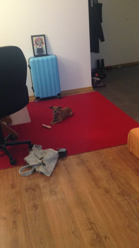 Great, quiet loft in Mitte _ city center < UND Berlin brandenburg