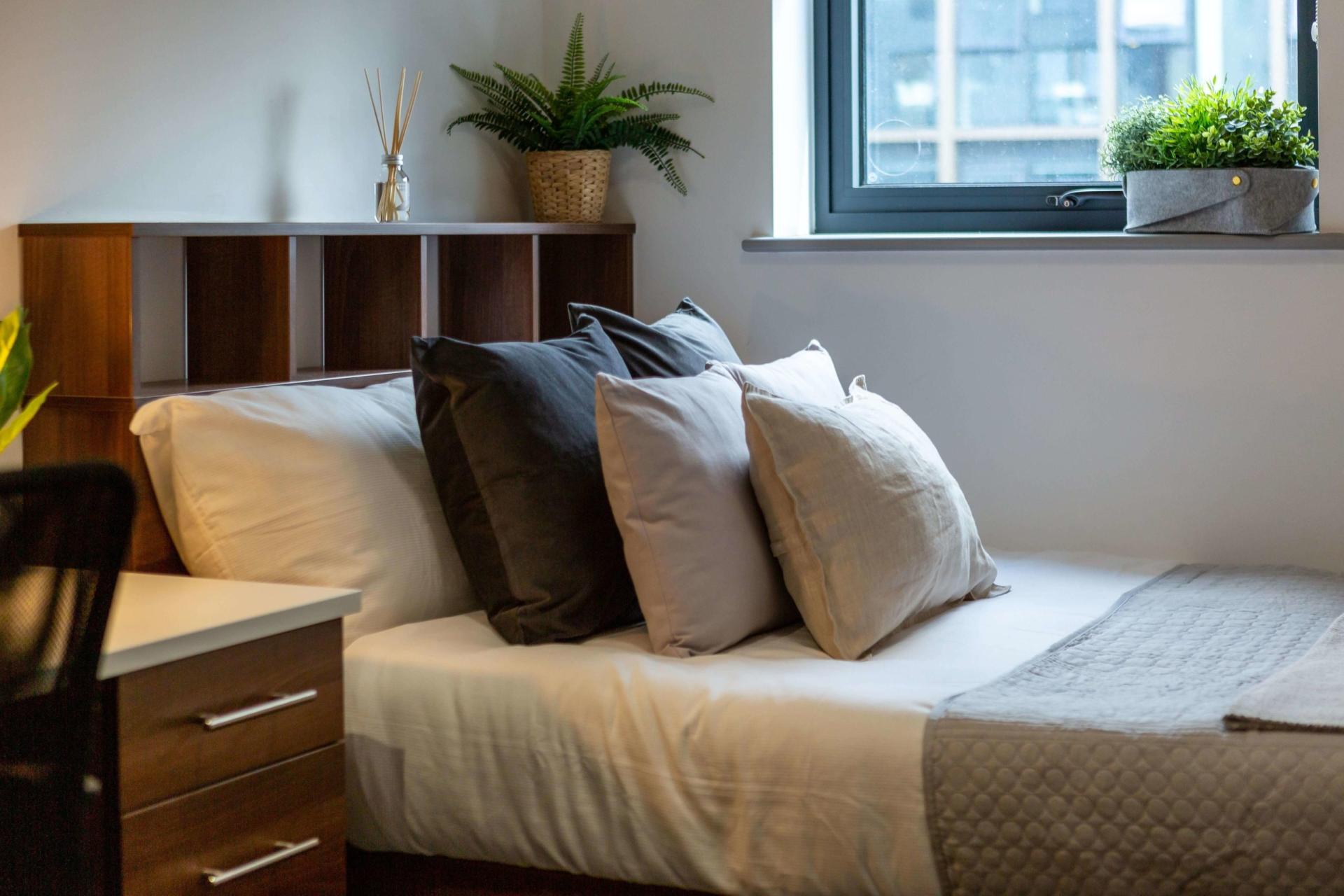 Standard En-Suite - 1