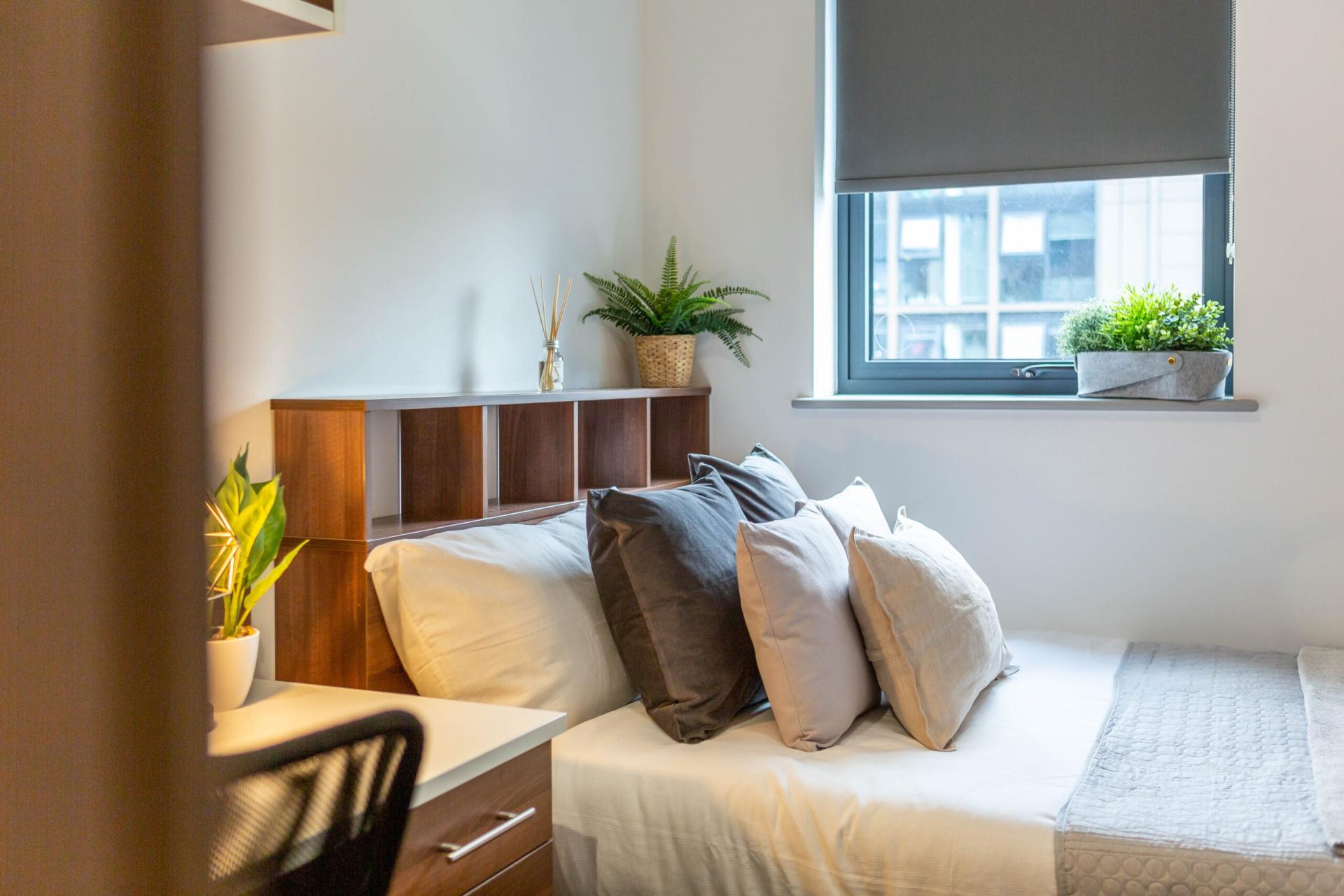 Standard Plus En-Suite - 1