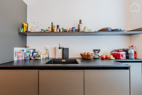 Luxury Appartment in Bergmannkiez