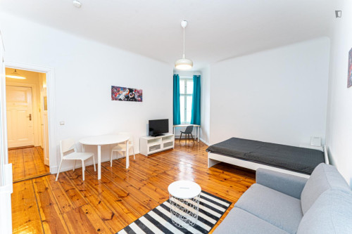 Spacious 1-bedroom apartment in Prenzlauer Berg