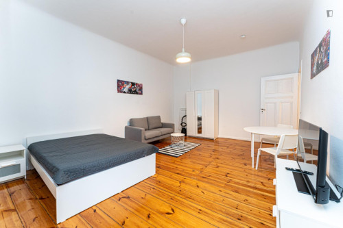 Spacious 1-bedroom apartment in Prenzlauer Berg