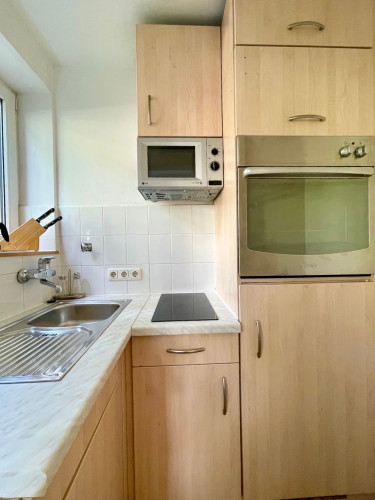 Fashionable apartment in München-Westend