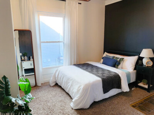 Private Room in Clifton  - Gallery - 11