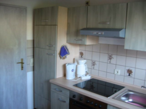 Cozy ground-floor apartment with patio