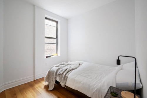 Lovely Private ROOM in Greenpoint: Greenpoint - Gallery - 10