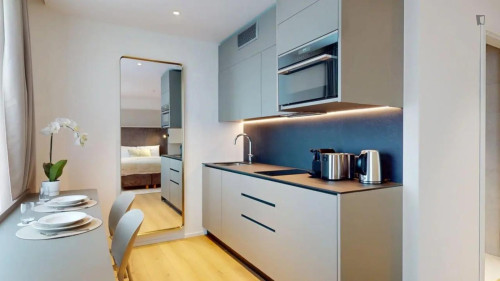 Comfy studio in Grand-Saconnex