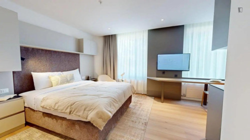 Tasteful studio in Grand-Saconnex