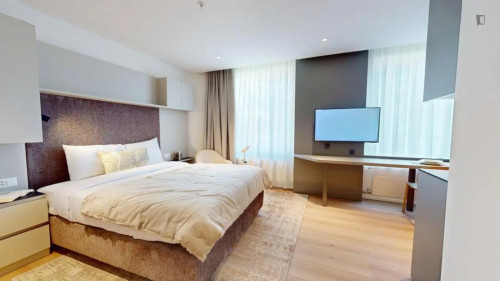 Enjoyable studio in Grand-Saconnex