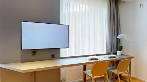 Enjoyable studio in Grand-Saconnex