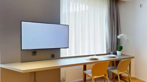 Big studio near the Geneva Airport