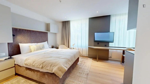 Welcoming studio near Geneva Airport
