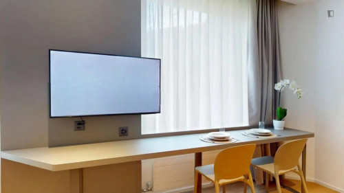 Modern studio in Grand-Saconnex