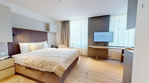 Modern studio in Grand-Saconnex