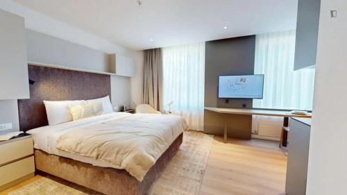 Very charming studio in Grand-Saconnex