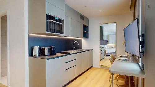 Alluring studio in the Grand-Saconnex neighbourhood