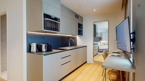 Sublime studio in the Grand-Saconnex neighbourhood