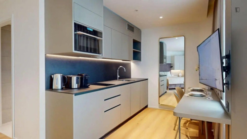 Modern studio in the Grand-Saconnex neighbourhood