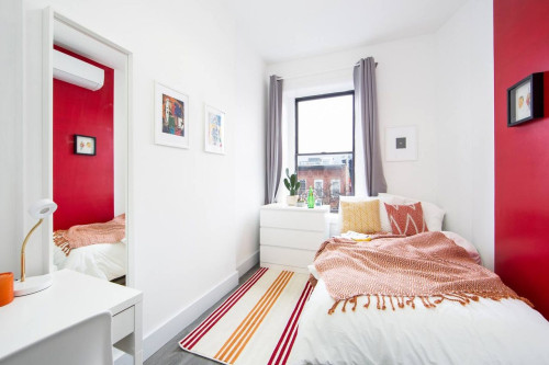 Cute Private ROOM in Fort Greene: Fort Greene  - Gallery -  2
