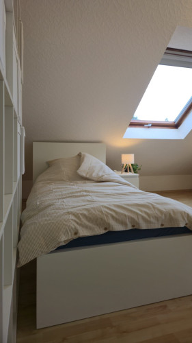 Premium 2-Room Business Apartment near Darmstadt/Frankfurt | Parking & Fully Equipped