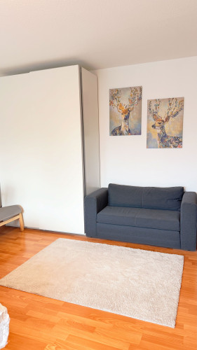 Fully Furnished Central Studio Apartment in Heidelberg