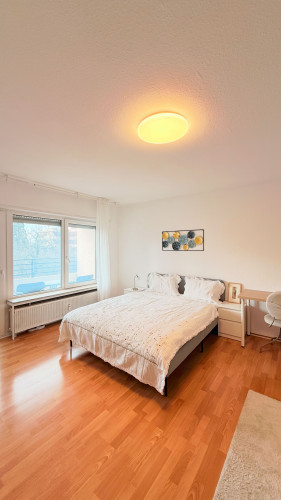 Fully Furnished Central Studio Apartment in Heidelberg