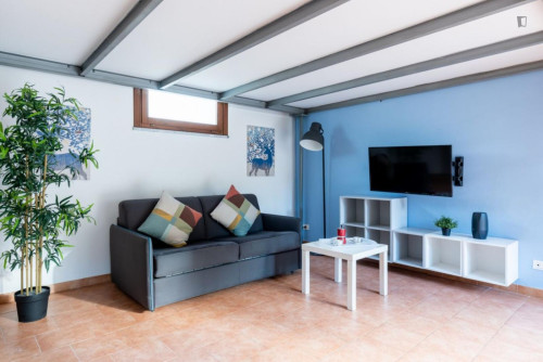 Very bright lofted studio in Pisa