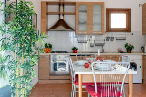 Marvellous 2-bedroom apartment in Pisa - Gallery - 8