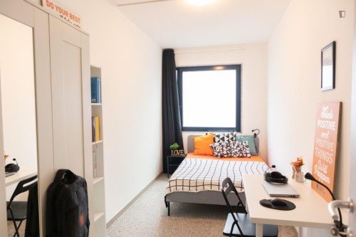 Amazing single bedroom in San Benedetto