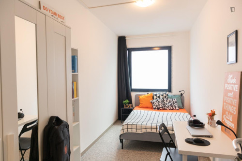 Amazing single bedroom in San Benedetto